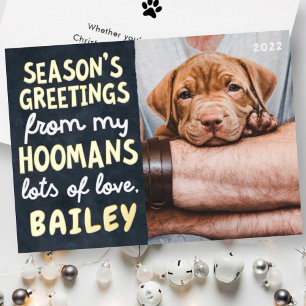 Season's Greetings Funny Modern Pet Custom Photo