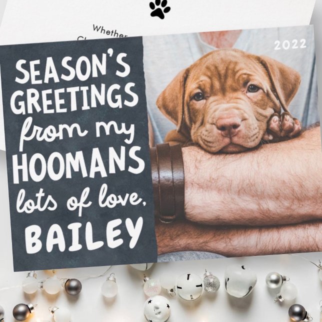 Season's Greetings Funny Modern Pet Custom Photo Holiday Card (Creator Uploaded)