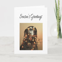 Season's Greetings german shorthaired pointer