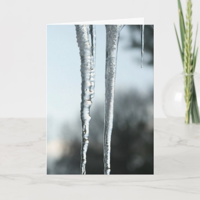 Seasons Greetings Holiday Card (Front)