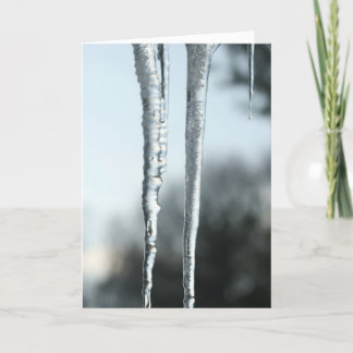 Seasons Greetings Holiday Card