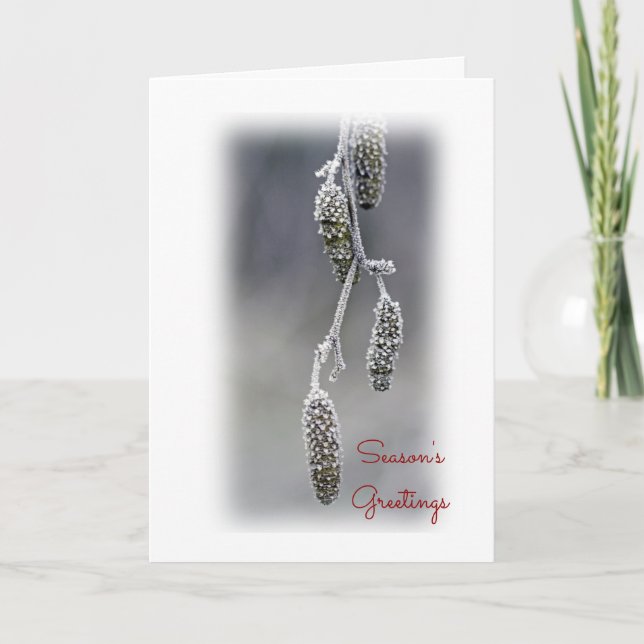 Season's Greetings Holiday Card (Front)