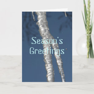 Season's Greetings Holiday Card