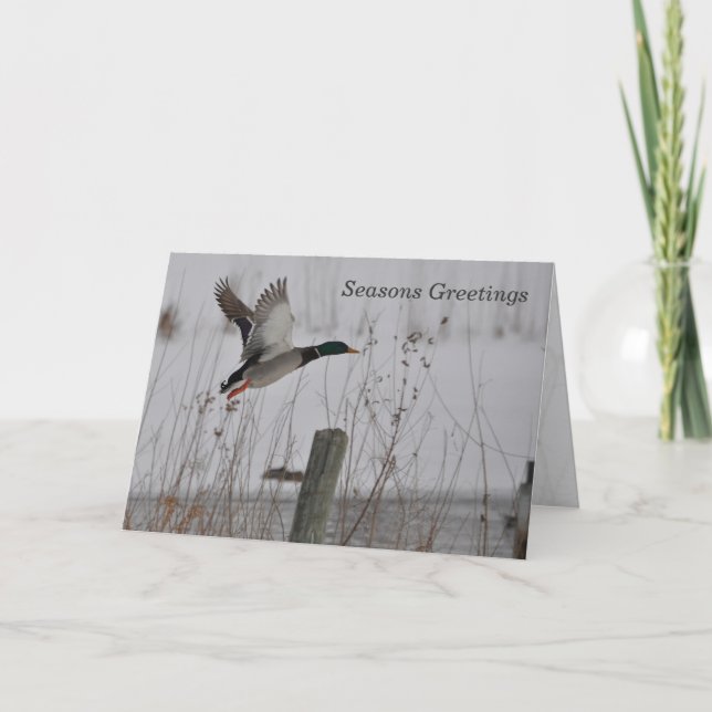 Seasons Greetings Holiday Card (Front)