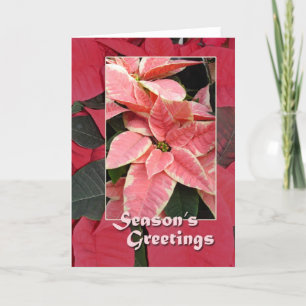 Seasons Greetings Holiday Card