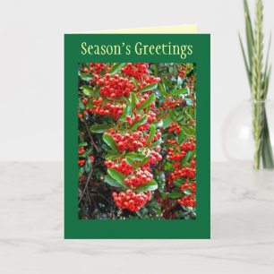 Season's Greetings Holiday Card w/ Red Berries