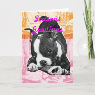 Seasons Greetings Holiday Cards