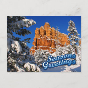 Seasons Greetings Holiday Postcard
