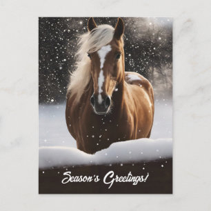 Season's Greetings Horse and Snow Holiday Postcard