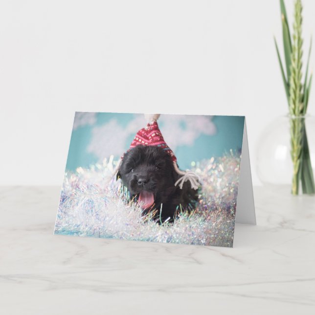 Seasons Greetings Newfie Puppy Holiday Card (Front)