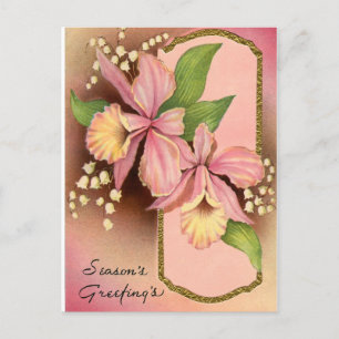 Seasons Greetings Orchids Holiday Postcard