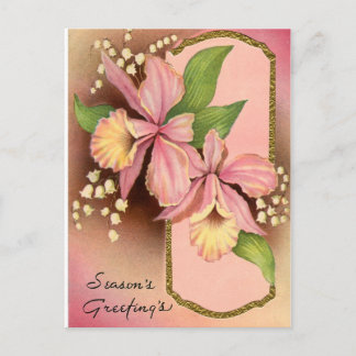 Seasons Greetings Orchids Holiday Postcard