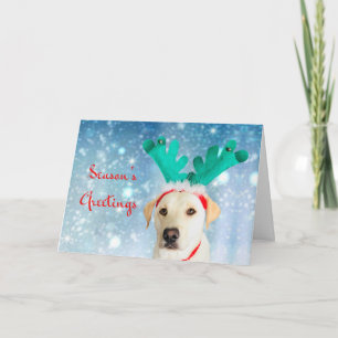Season's Greetings Pet Labrador Dog Cute Festive Holiday Card