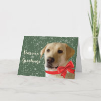 Season's Greetings Pet Labrador Dog Cute Festive