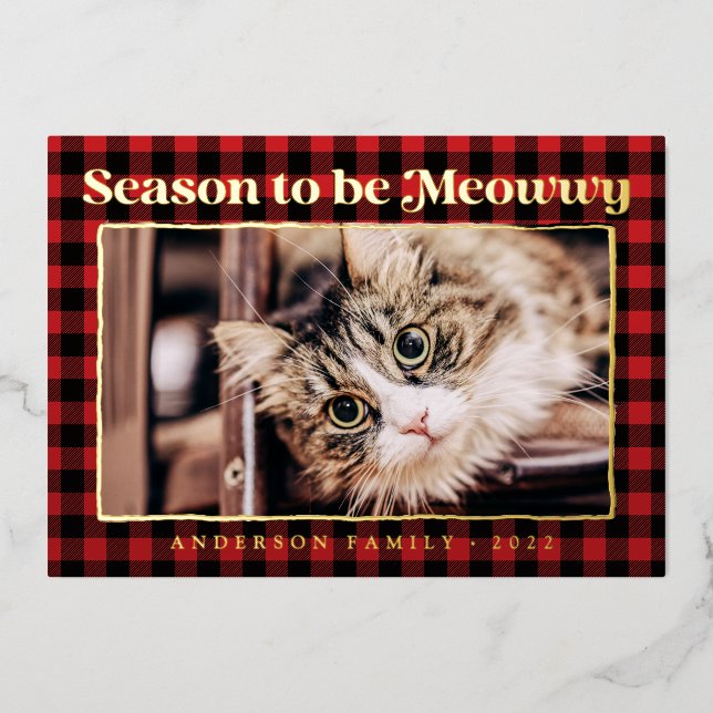 Season's Greetings Plaid Funny Pet Cat Photo (Front)