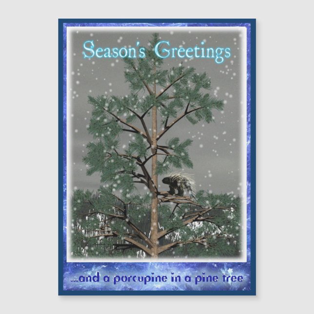 Season's Greetings - Porcupine In A Pine (Front)