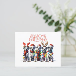 SEASON'S GREETINGS Postcard