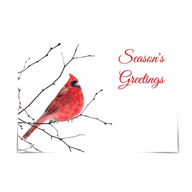 Season's Greetings Red Cardinal Watercolour Card (Creator Uploaded)