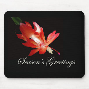 Season's Greetings Red Christmas Cactus Mouse Pad