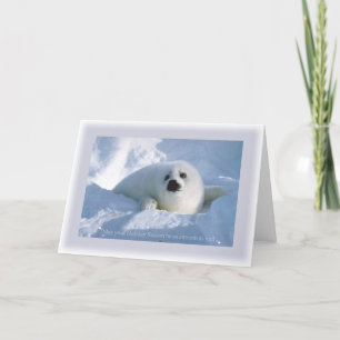 Season's Greetings - Seal Holiday Card