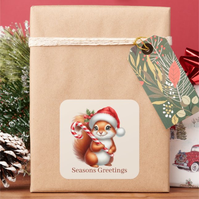 seasons Greetings squirrel lovers Square Sticker (Holiday)