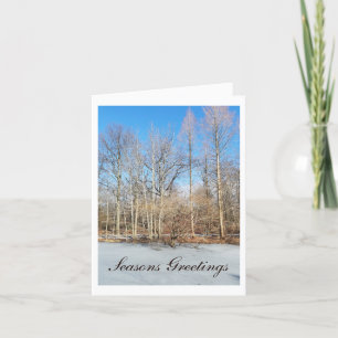 Seasons Greetings Sunny Woodland Winter Holiday Card