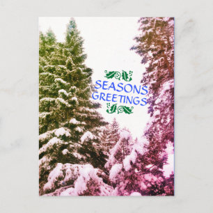 SEASONS GREETINGS TREES ANTIQUE POSTCARD
