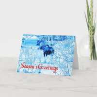 Season's Greetings - Urban Moose