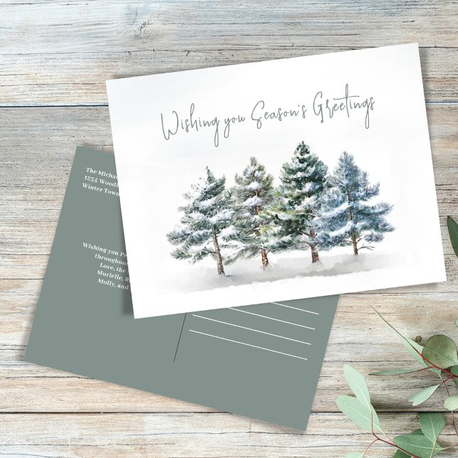 Season's Greetings Watercolor Winter Pine Postcard (Season's greetings holiday postcard.)