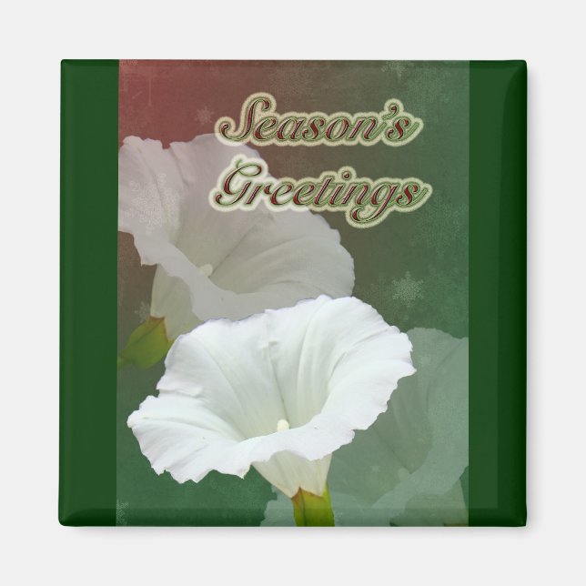Season's Greetings - White Bindweed Magnet (Front)