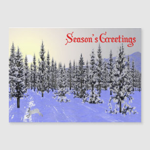 Season's Greetings - Winter Solstice