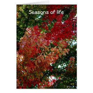 Seasons of life