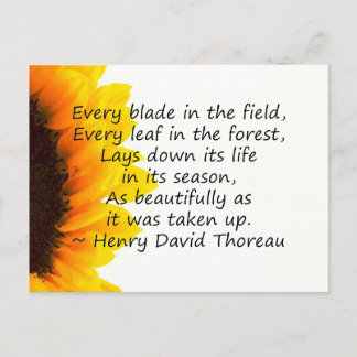 Seasons of Life Postcard