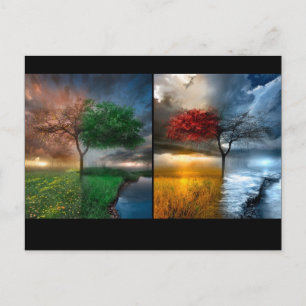 Seasons Postcard