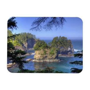 Seastacks, Makah Nation Tribal Lands, Cape Magnet