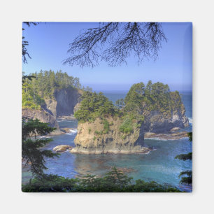 Seastacks, Makah Nation Tribal Lands, Cape Magnet