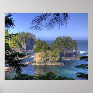 Seastacks, Makah Nation Tribal Lands, Cape Poster