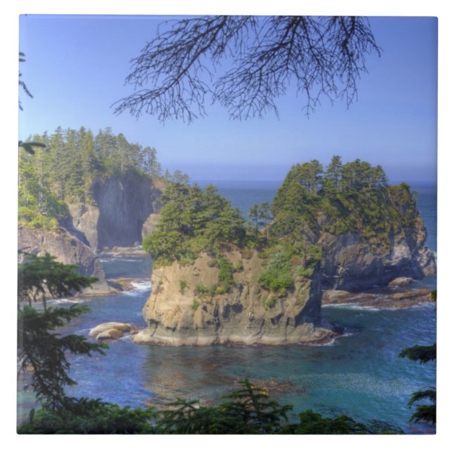 Seastacks, Makah Nation Tribal Lands, Cape Tile (Front)