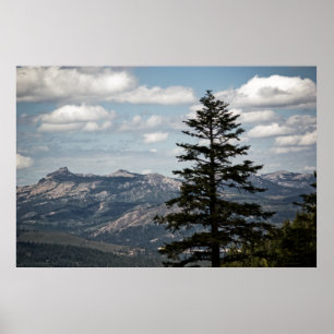 Seat with a View Print