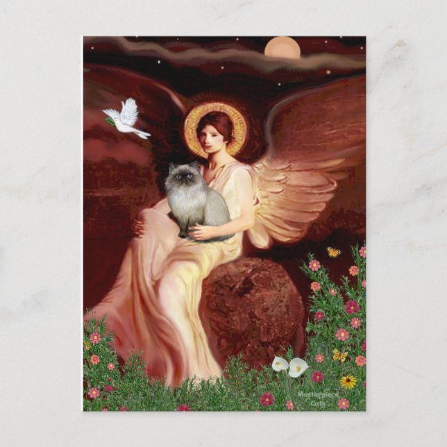 Seated Angel - Himalayan cat 7 Postcard (Front)