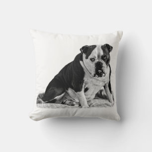 Seated Bulldog, Quiet Tones  Cushion