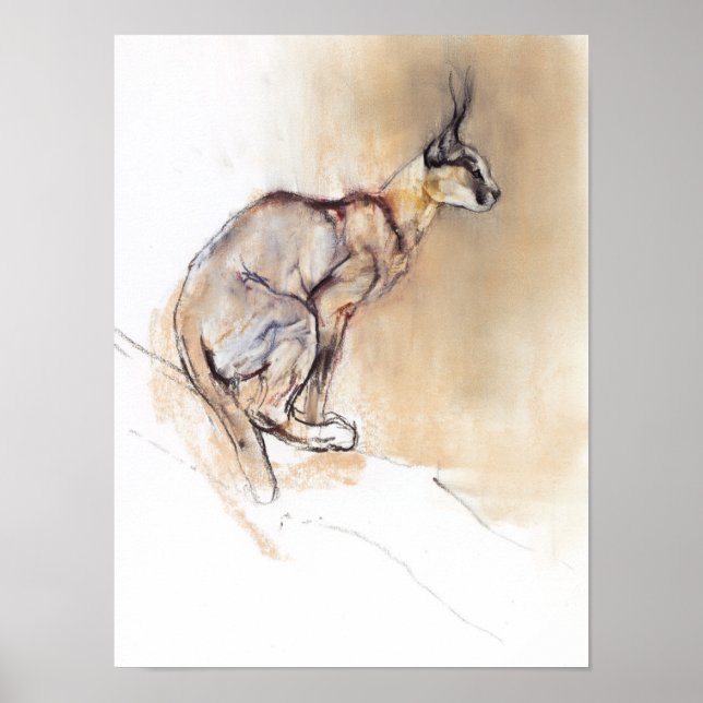 Seated Caracal 2009 Poster (Front)