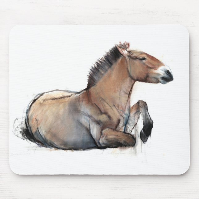Seated Przewalski 2011 Mouse Pad (Front)