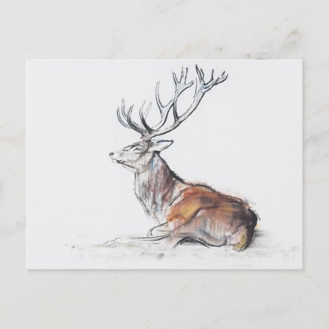 Seated Stag 2006 Postcard (Front)