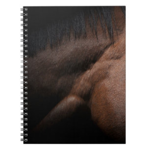 Seattle Notebook