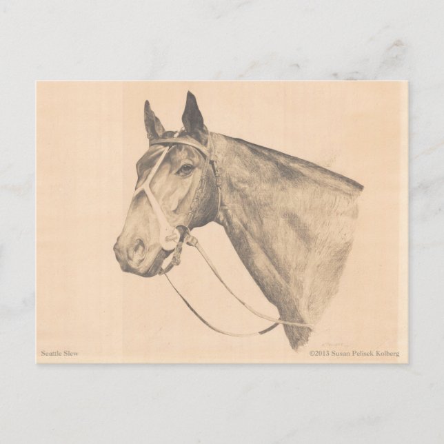 Seattle Slew by Susan Pelisek Kolberg Postcard (Front)