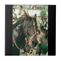 Seattle Slew Thoroughbred 1978