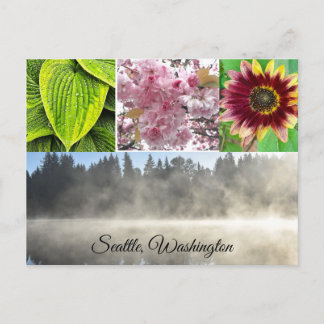 Seattle Washington Postcard