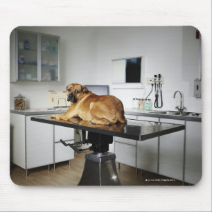 Seattle, Washington, USA 2 Mouse Pad