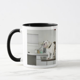 Seattle, Washington, USA Mug